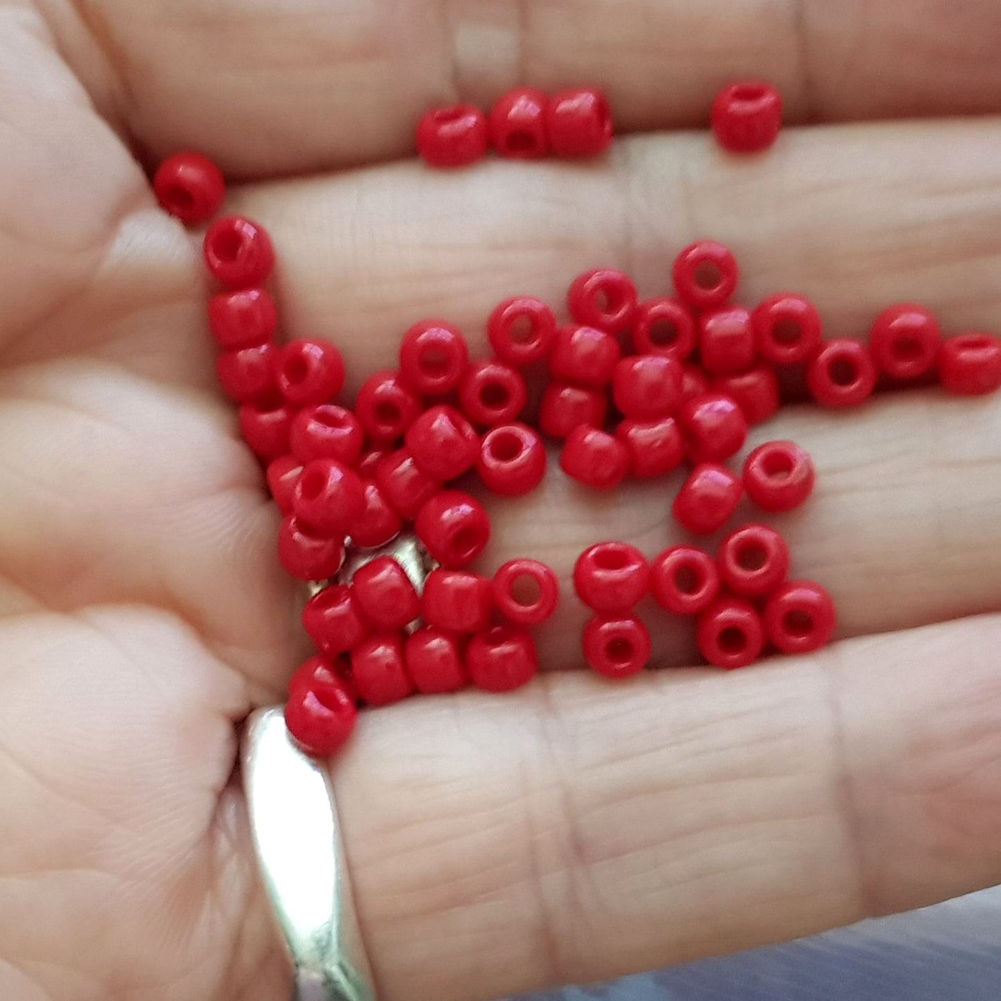 6/0 TR-45 Pepper Red Opaque 10g/30g Round Toho Seed Beads - Beading Supply