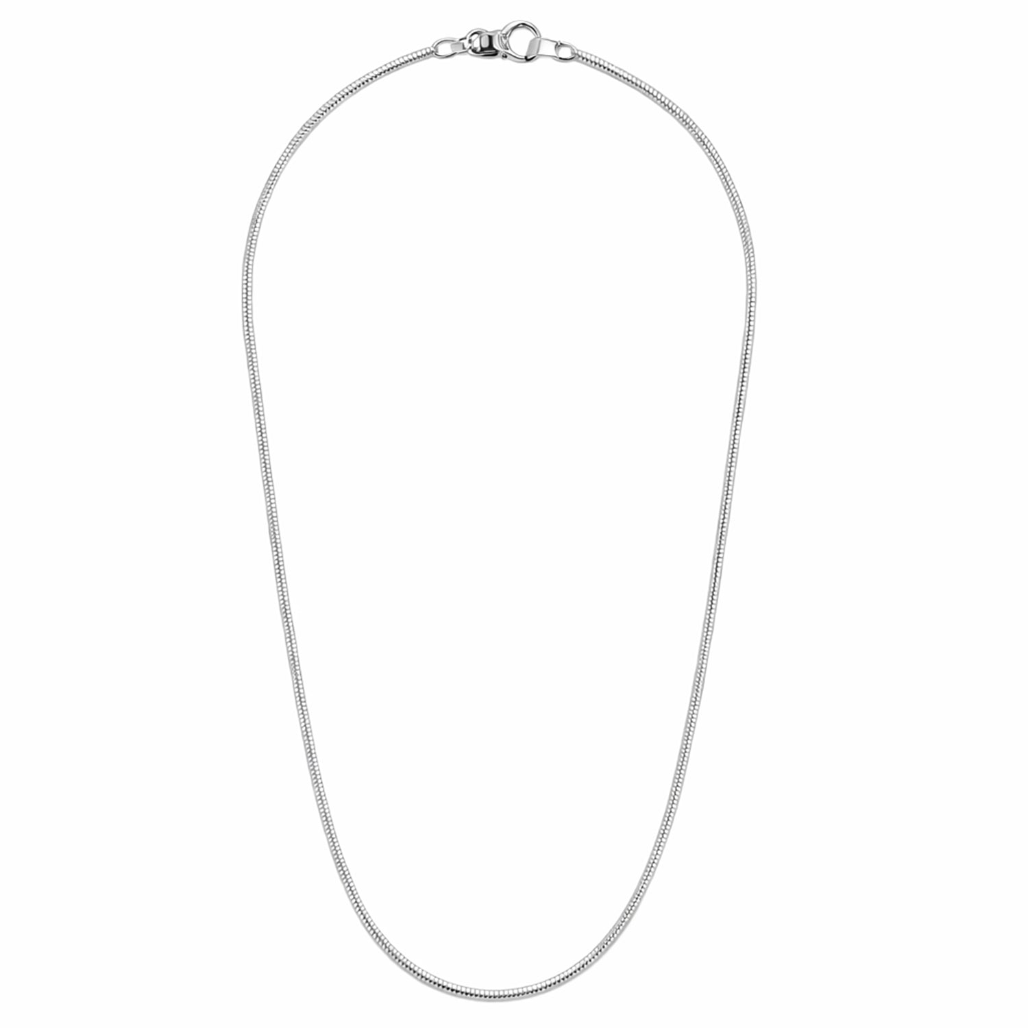 Silver snake chain necklace on a white background