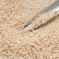 15/0 Toho seed beads TR-123 close up beige with a beading scoop