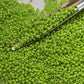 8/0 TR-404 Sour Apple Opaque Rainbow Round Toho Seed Beads - Beading Supply - Kalitheo 
