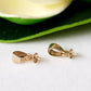 Two Pendant Drops on a white background
