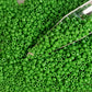11/0 Toho seed beads in green mint opaque TR-47 with a beading scoop.
