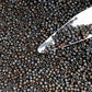 11/0 Toho Seed Beads in Iris Brown Metallic frosted TR-83F with a beading scoop.