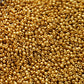 11/0 Toho Seed Beads in Old Gold Permanent Finish TR-PF591 close up