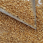 11/0 Toho Seed Beads in Starlight Gold Galvanized Permanent Finish with a triangle scoop.