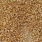 Toho 15/0 starlight gold galvanized permanent finish TR-pf557 close up.