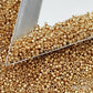Toho 15/0 starlight gold galvanized permanent finish TR-pf557 with a triangle scoop.