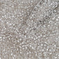 8/0 Toho Seed Beads in a crystal silver-lined TR-21 with a beading scoop.